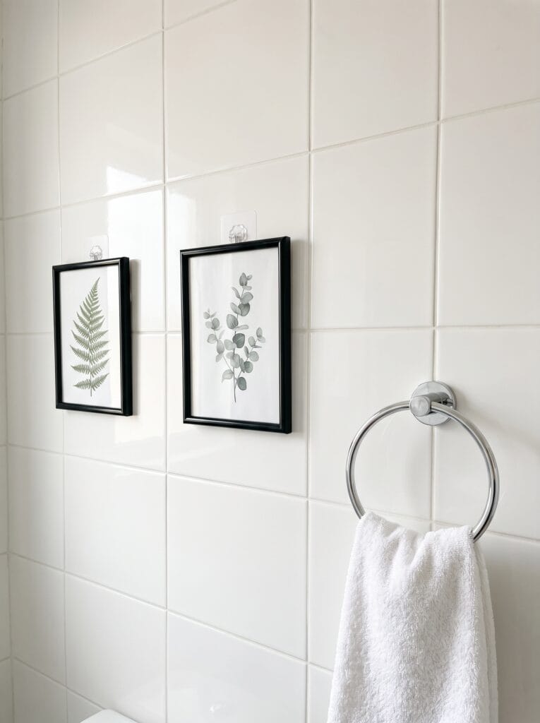 Two black framed botanical prints on white tile mounted with clear adhesive hooks beside a chrome towel ring