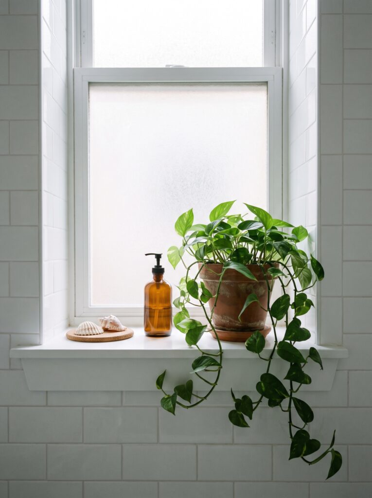 bathroom window sill with a pothos in a terracotta pot, an amber pump bottle and two seashells on a cork coaster
