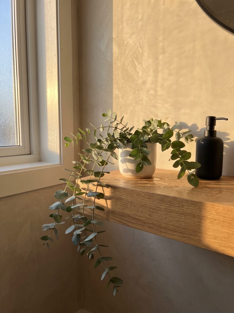 small oak floating shelf holding a trailing eucalyptus plant and a matte black soap pump